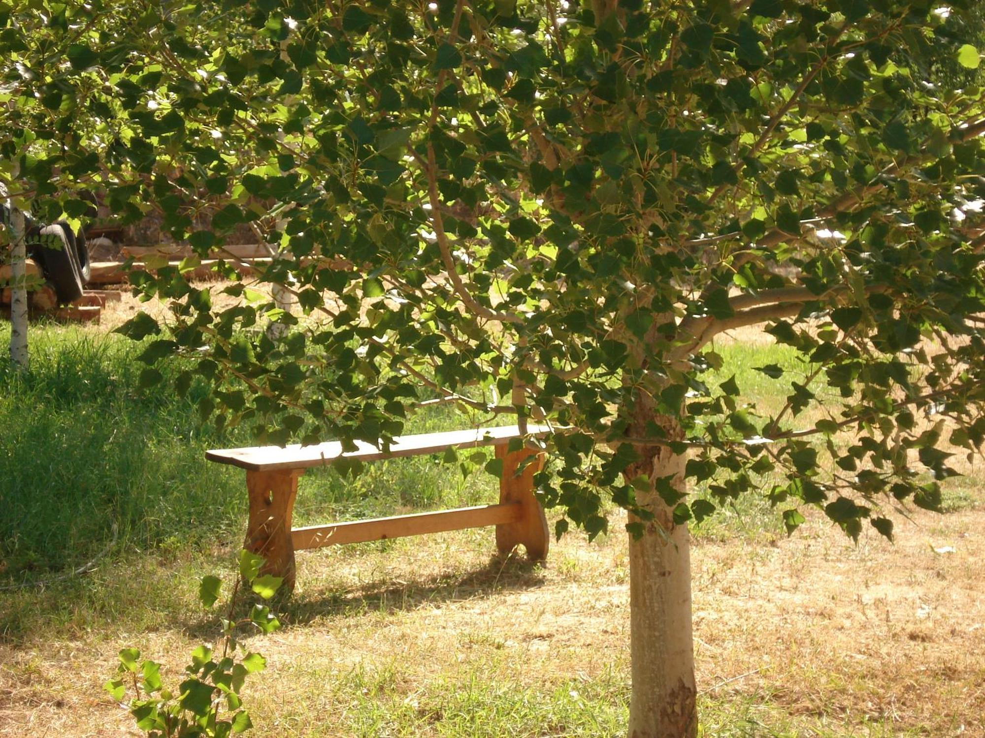 Masia El Carcaba - Moli Del Pont. Cornudella de Montsant Exterior foto