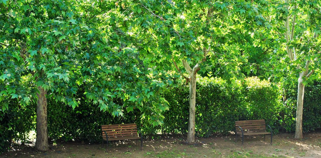 Masia El Carcaba - Moli Del Pont. Cornudella de Montsant Exterior foto