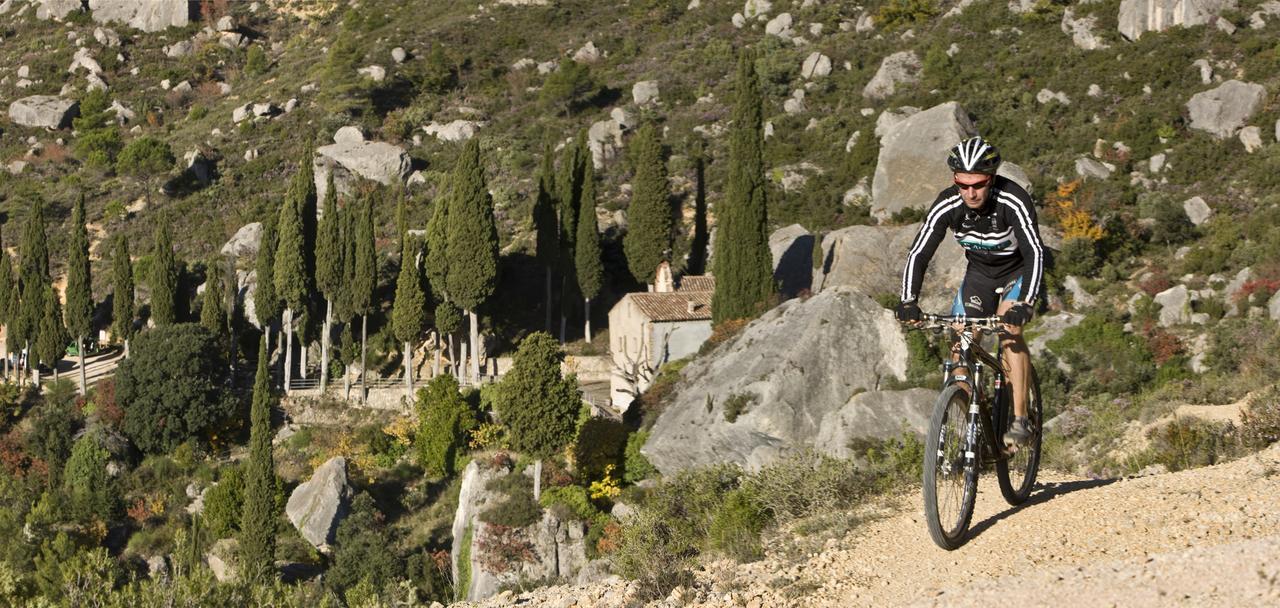 Masia El Carcaba - Moli Del Pont. Cornudella de Montsant Exterior foto